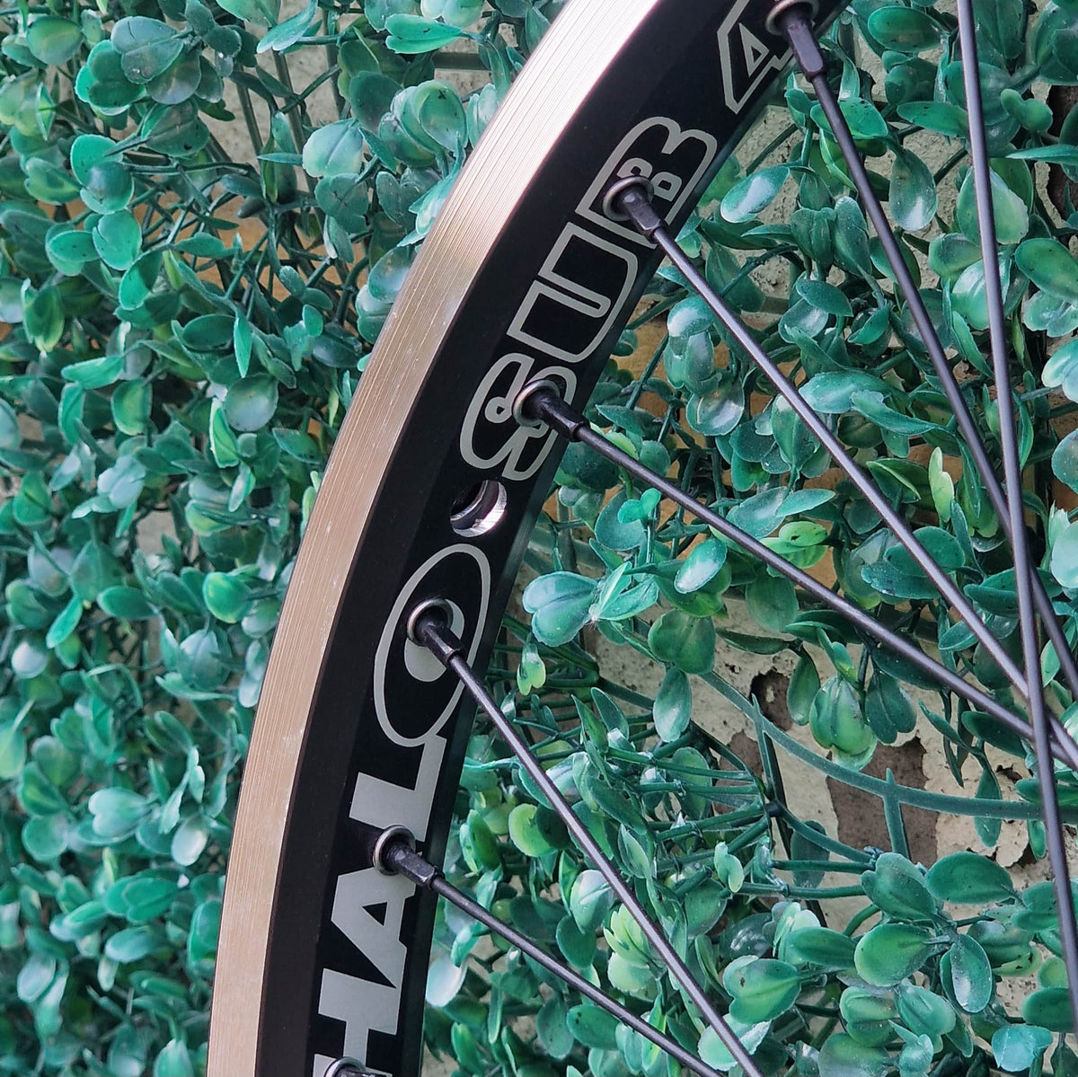 Halo BMX Racing Halo Sub-4 Supadrive Rear Disc Cassette Race 20 inch Wheel Black