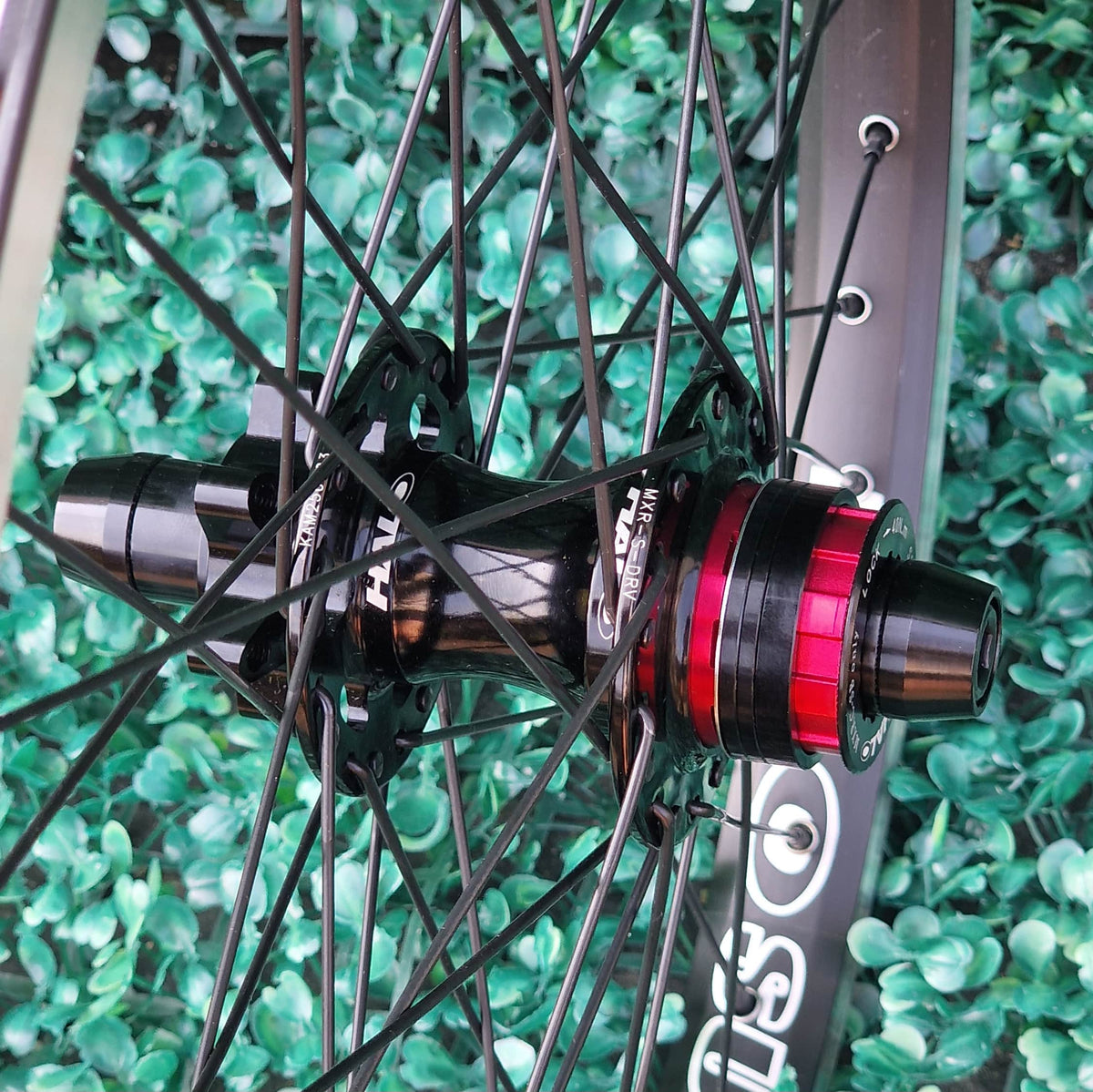 Halo BMX Racing Halo Sub-4 Supadrive Rear Disc Cassette Race 20 inch Wheel Black