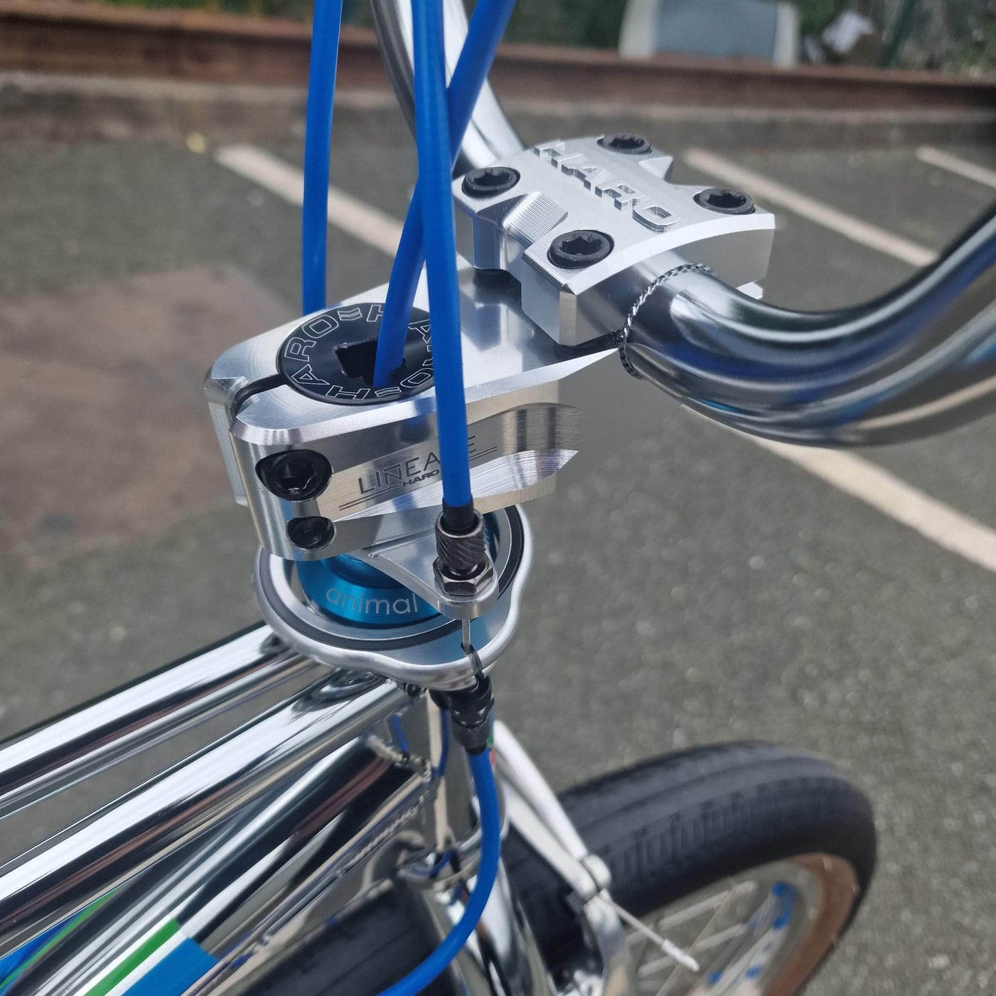 Haro Old School BMX Chrome Haro 40th Anniversary Bob Haro Freestyler Lineage Custom Bike Chrome / Blue