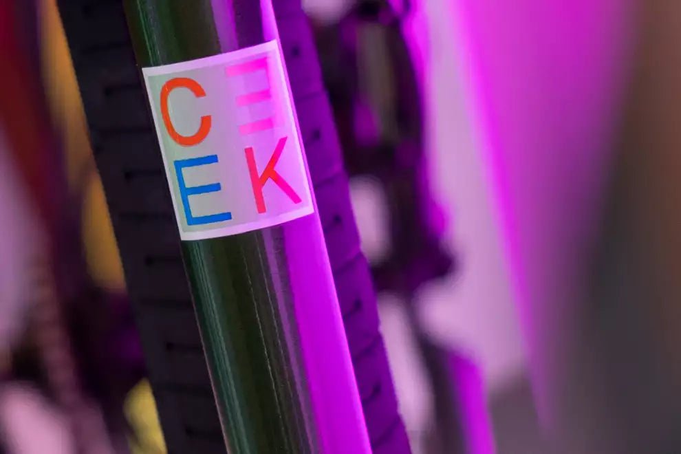 Haro Jetlife x Ceek 29 Inch Bike Metallic Green Alans BMX