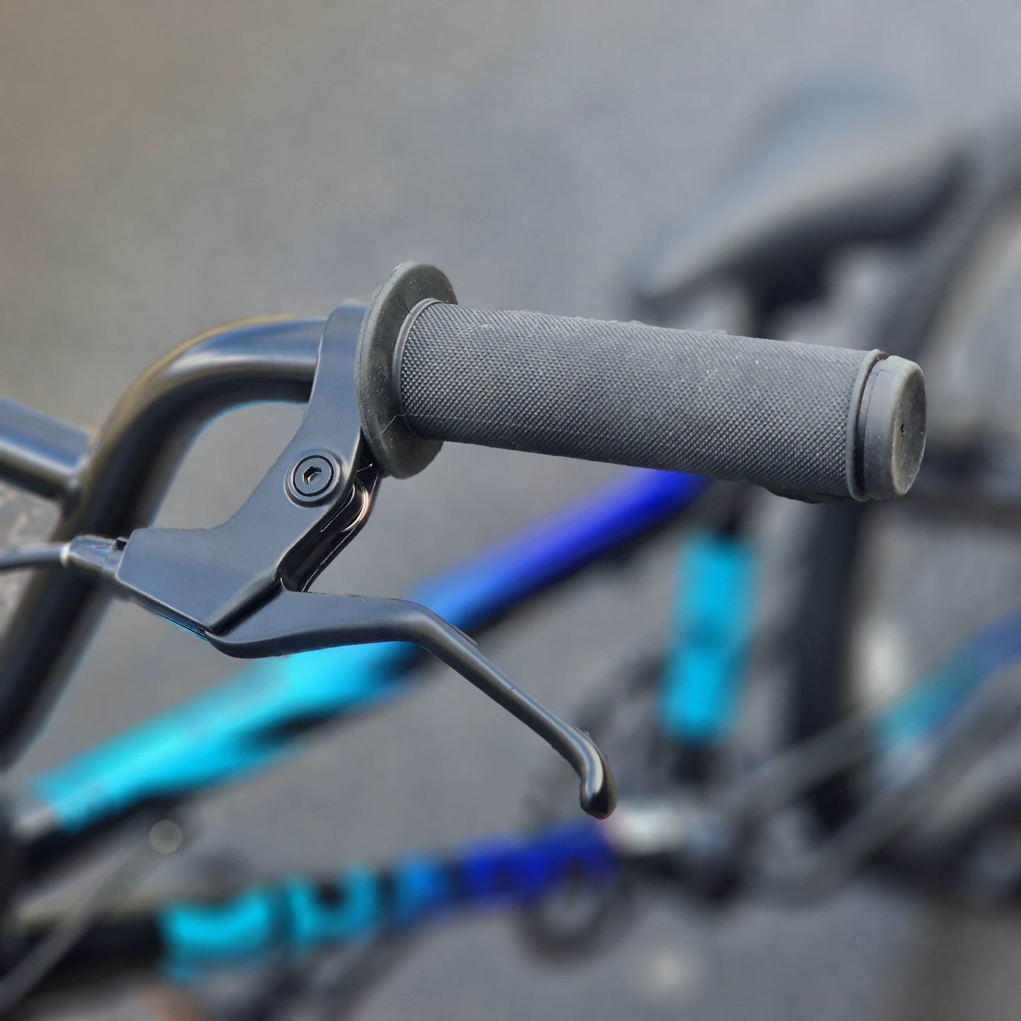 Haro BMX Racing Haro SI Race Bike Black / Blue