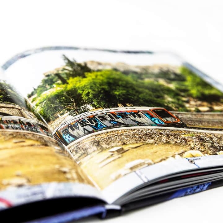 Maintain DVDs & Videos Maintain IV.V - Derailed Book