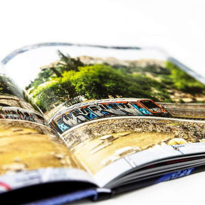 Maintain DVDs & Videos Maintain IV.V - Derailed Book