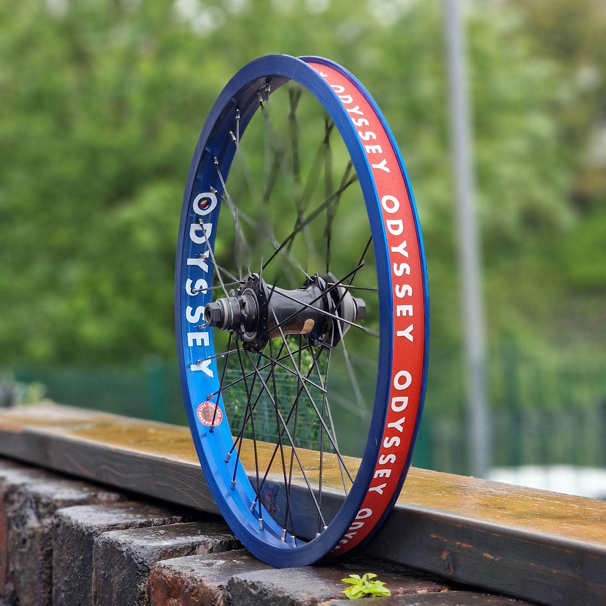 Odyssey Hazard Lite Clutch Freecoaster Wheel