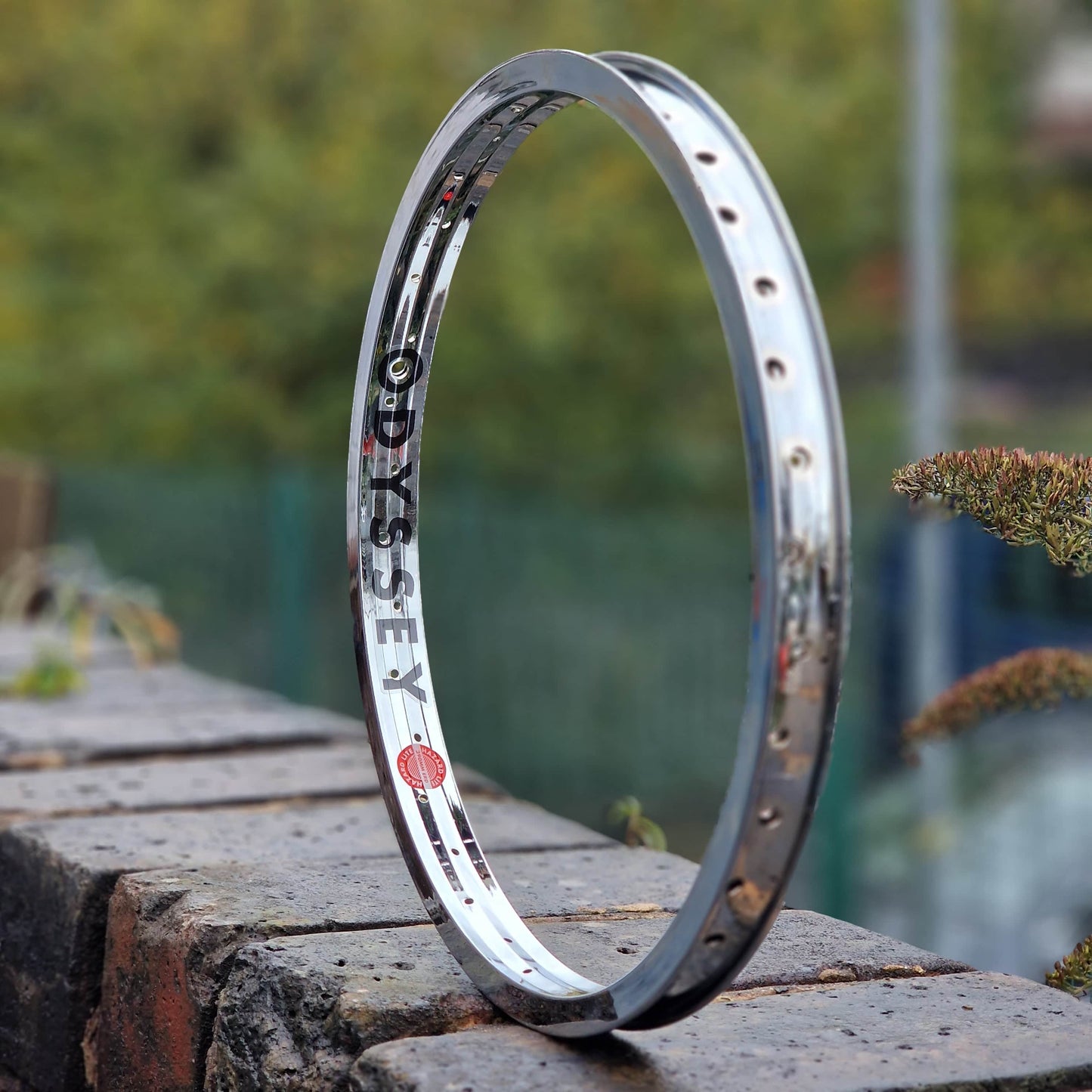 Odyssey BMX Parts Chrome / 20 Inch Odyssey Hazard Lite Rim