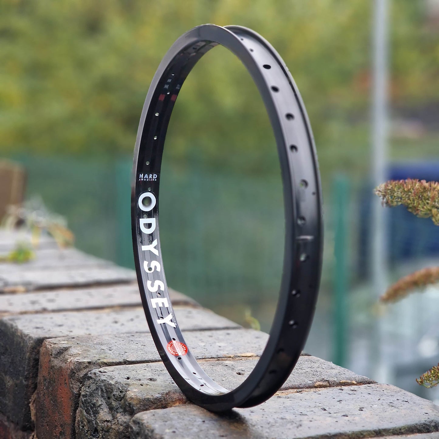 Odyssey BMX Parts Hard Anodised Black / 20 Inch Odyssey Hazard Lite Rim