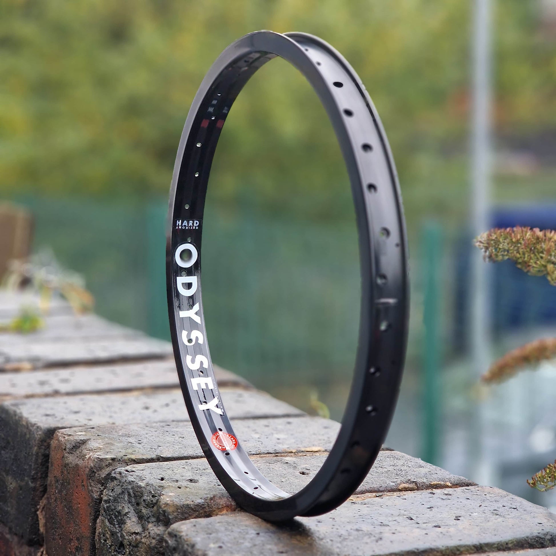 Odyssey BMX Parts Hard Anodised Black / 20 Inch Odyssey Hazard Lite Rim