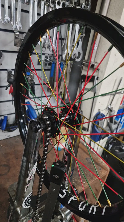 Colony Wasp Female Rear Cassette Hub