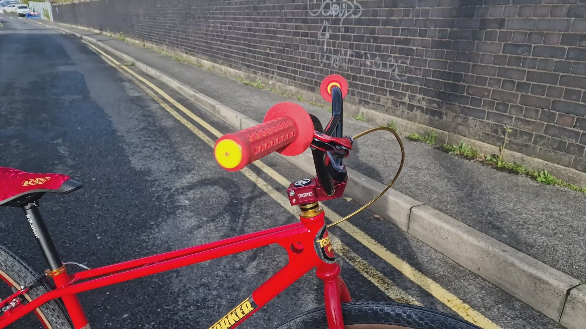 Torker MX29 29 Inch Cruiser Custom Bike Red / Gold | Alans BMX