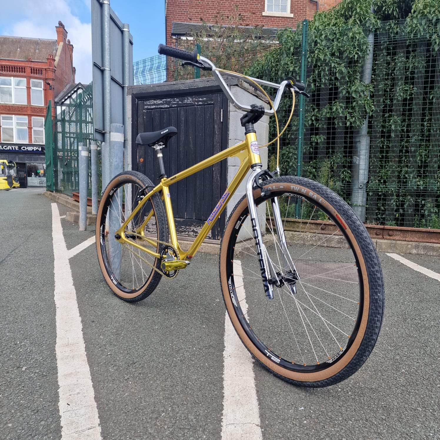 Custom 29 29-Inch – Alans BMX