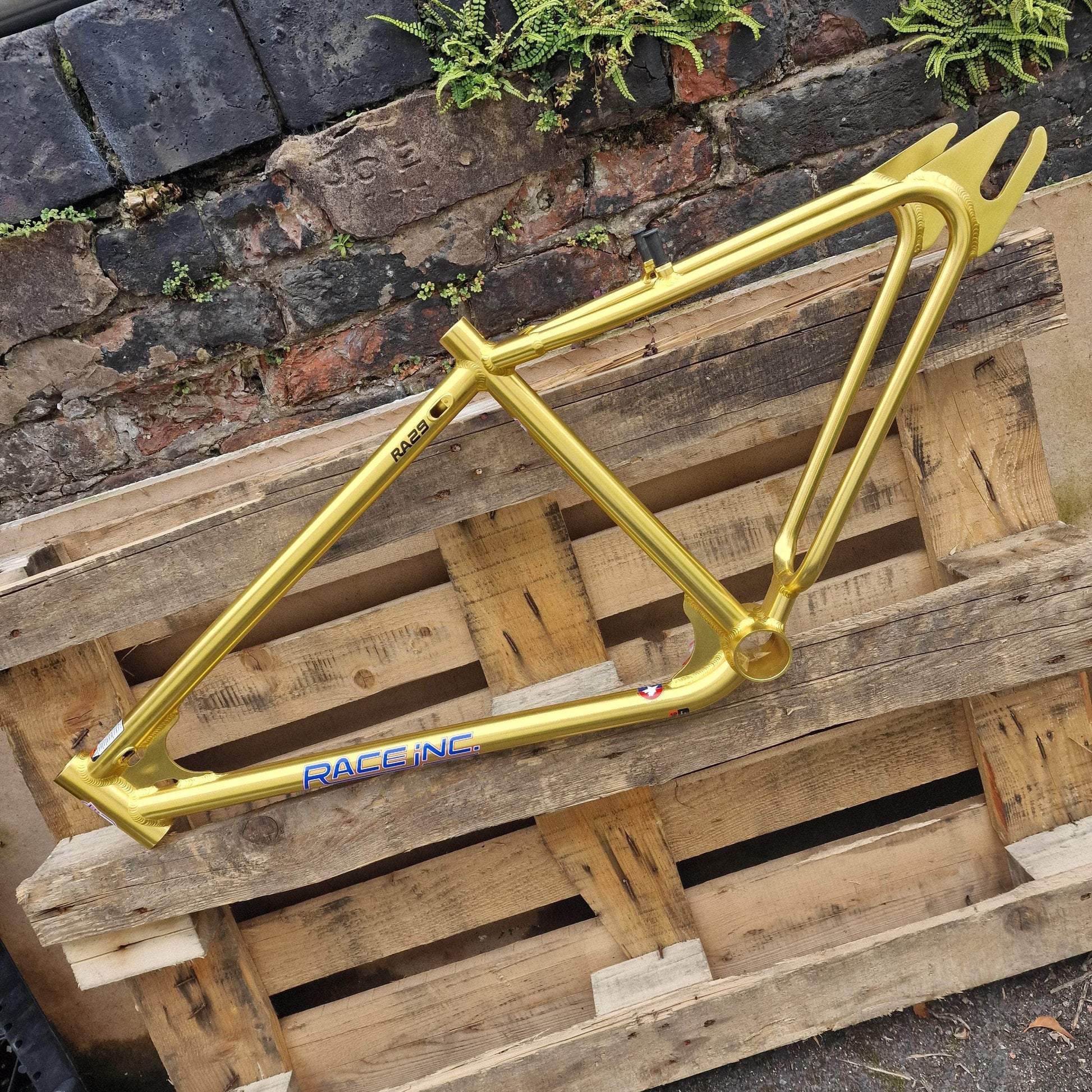 Race Inc BMX Parts Gold Race Inc RA29 Frame