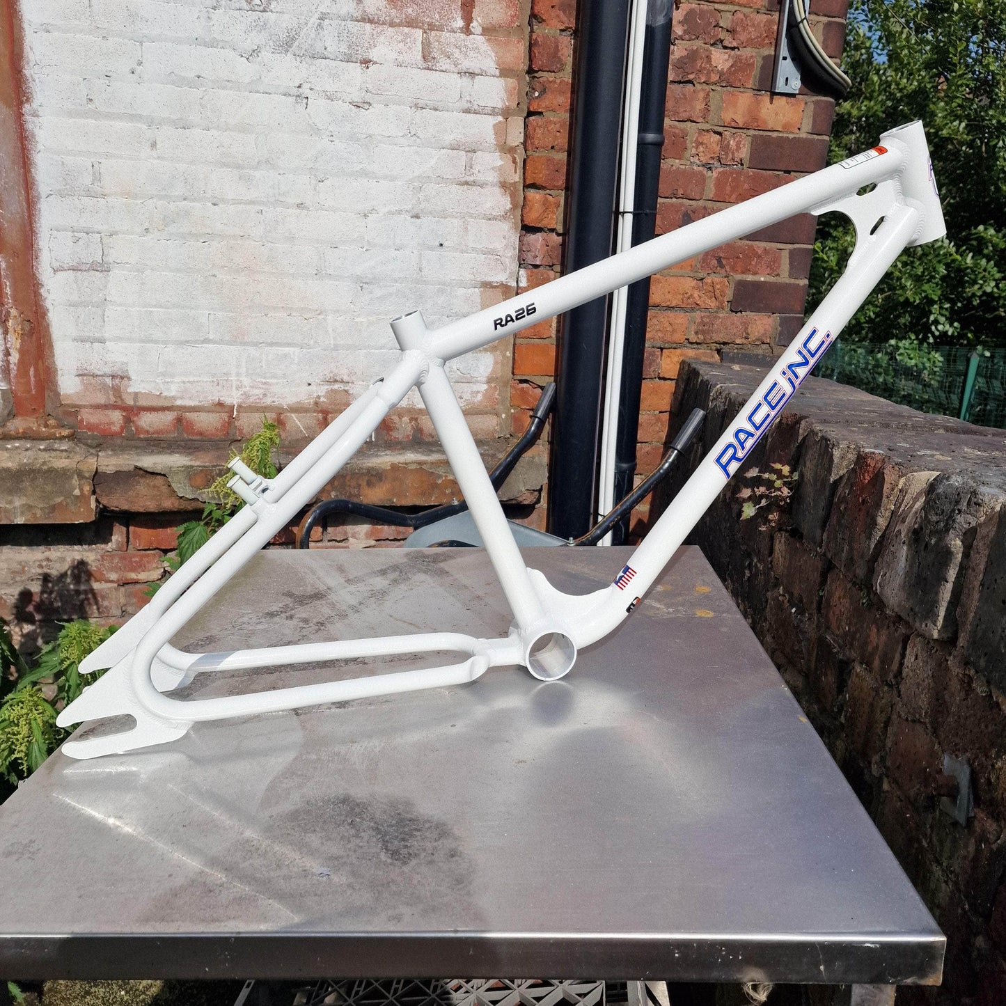 Race Inc BMX Parts White Race Inc RA29 Frame