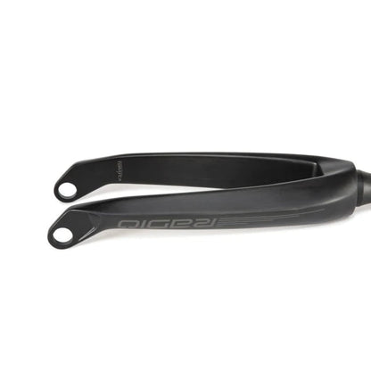 Radio BMX Racing Radio Race Solar Carbon Race Fork