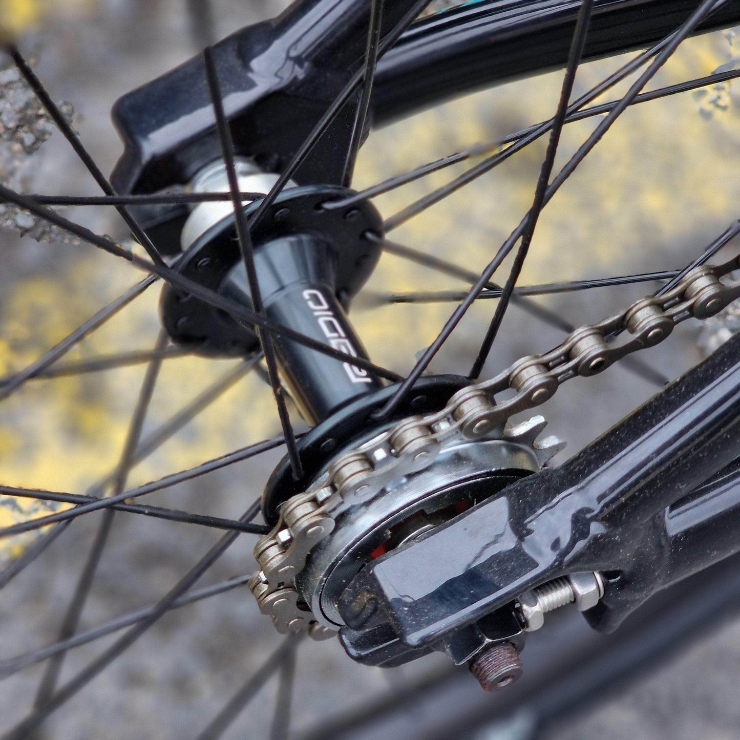 Radio Raceline BMX Racing Black / Expert Radio Raceline Cobalt Expert Race Bike Black