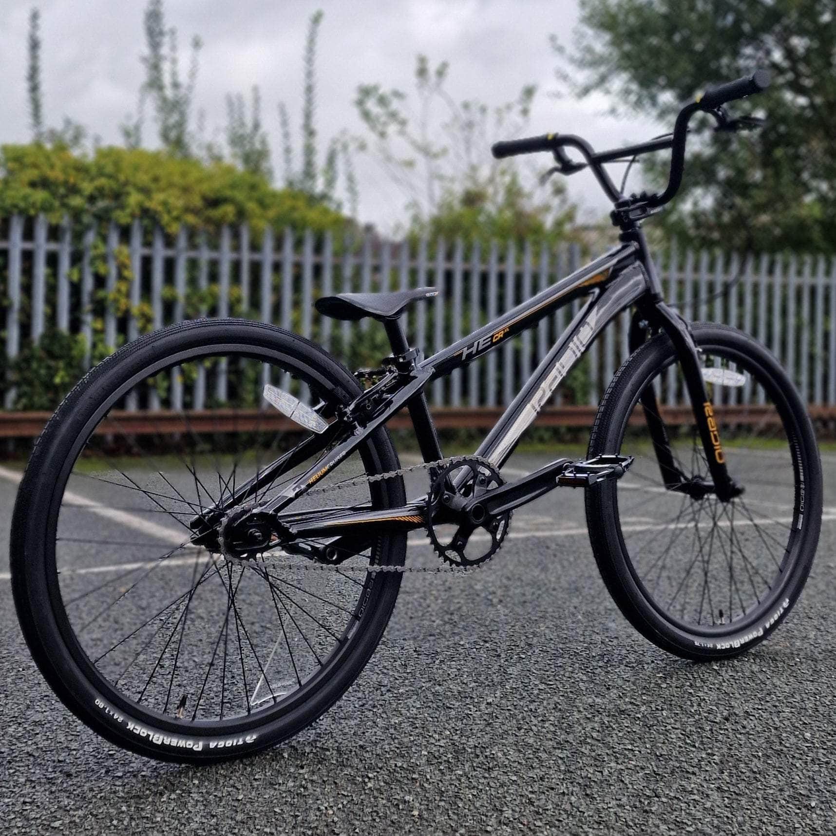 24 Inch Cruiser – Alans BMX