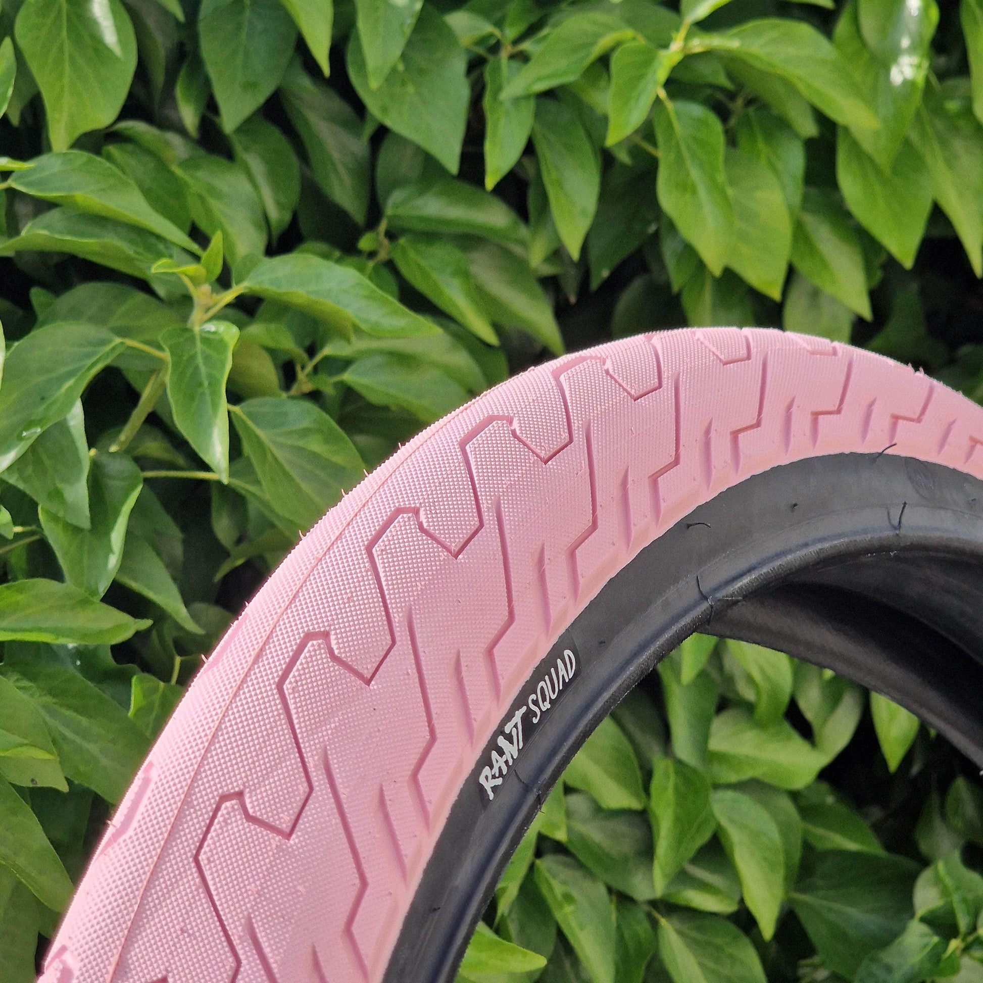 Rant BMX Parts Pepto Pink / 20 x 2.35 Rant Squad Tyre