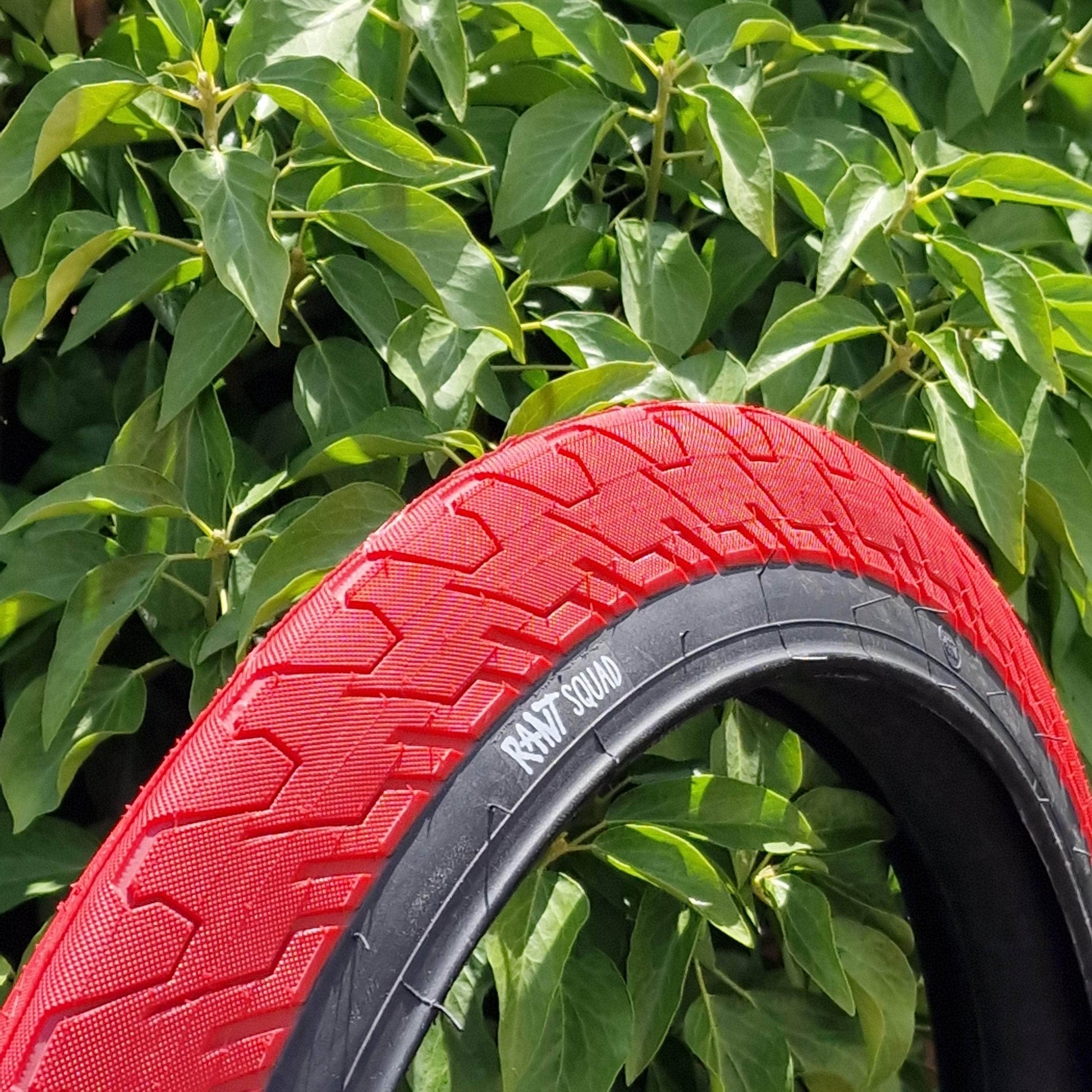 Rant BMX Parts Red / 20 x 2.35 Rant Squad Tyre