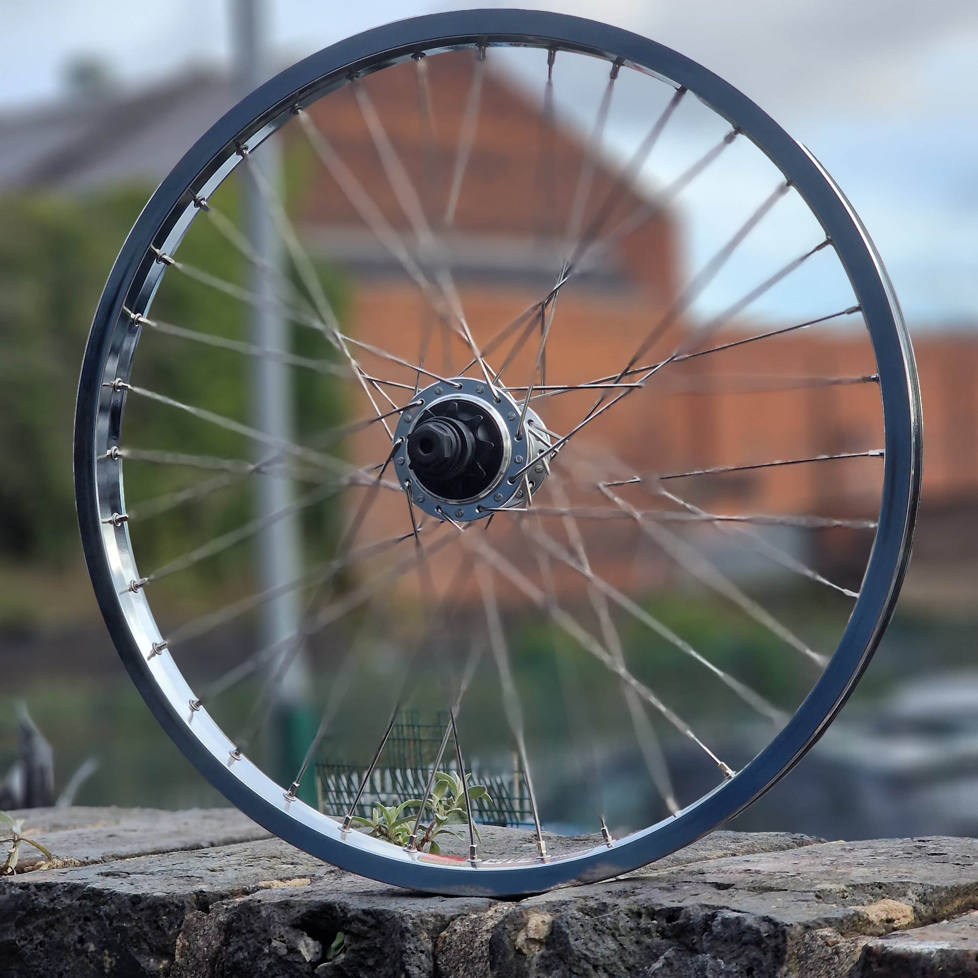Relic BMX Parts Relic Revolve / Sun Rhyno Lite XL Custom RHD Cassette Wheel Polished
