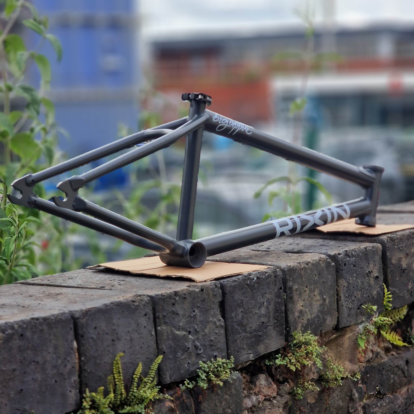 Rixin BMX Parts Rixin Billy Perry Big Apple Frame Matte Blackbird