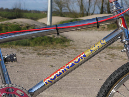 Robinson Old School BMX Robinson 1984 Frame Downtube Frame Sticker Gold NOS