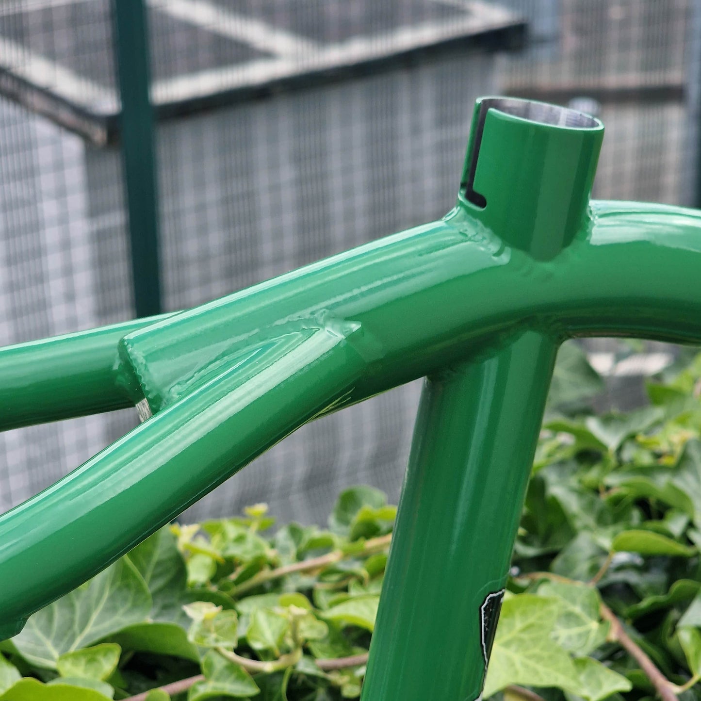 S&M Bikes BMX Parts S&M Bikes Rea Frame Evergreen