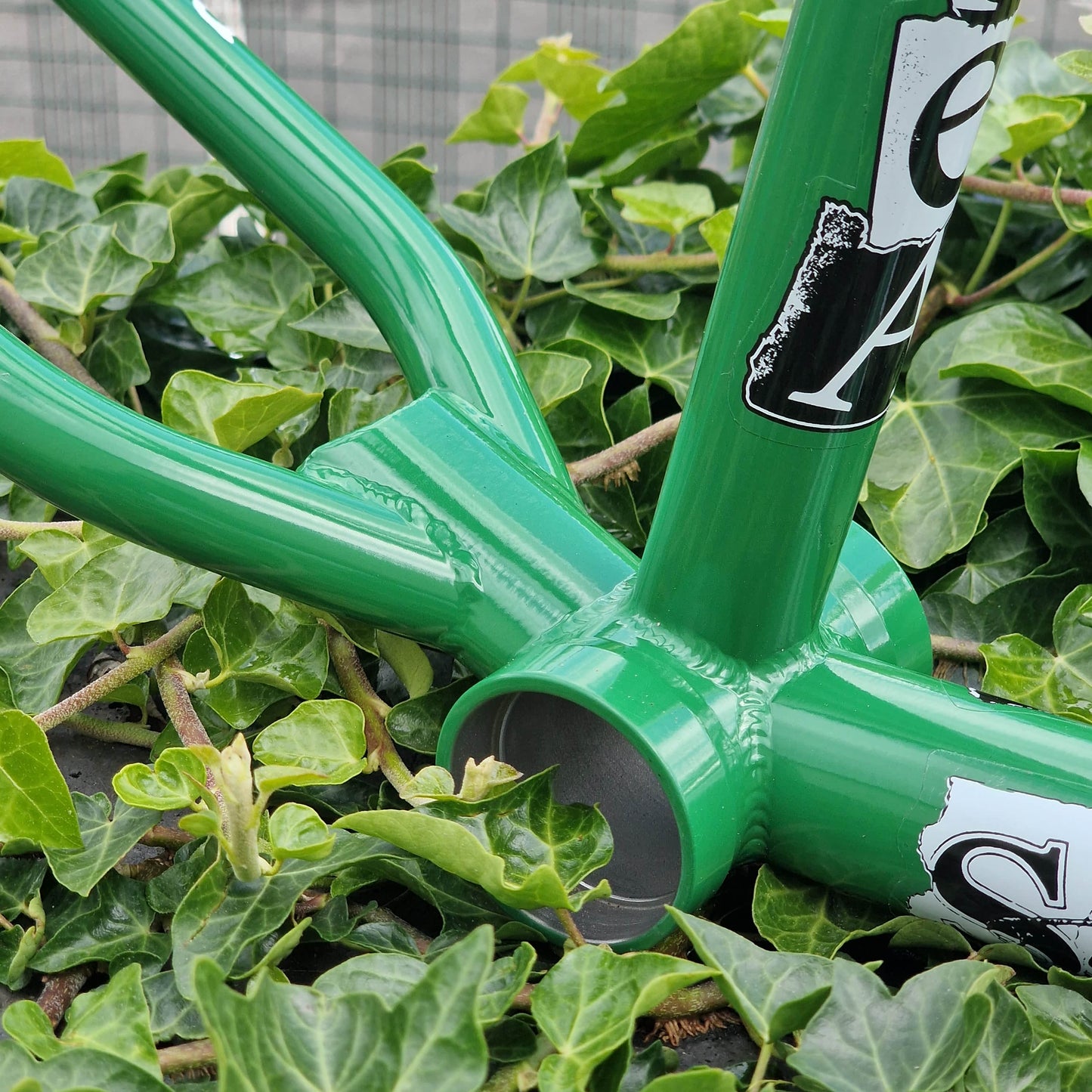 S&M Bikes BMX Parts S&M Bikes Rea Frame Evergreen