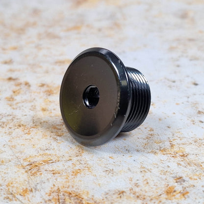 Salt Plus BMX Parts Salt Plus EX Fork Top Bolt Steel Black