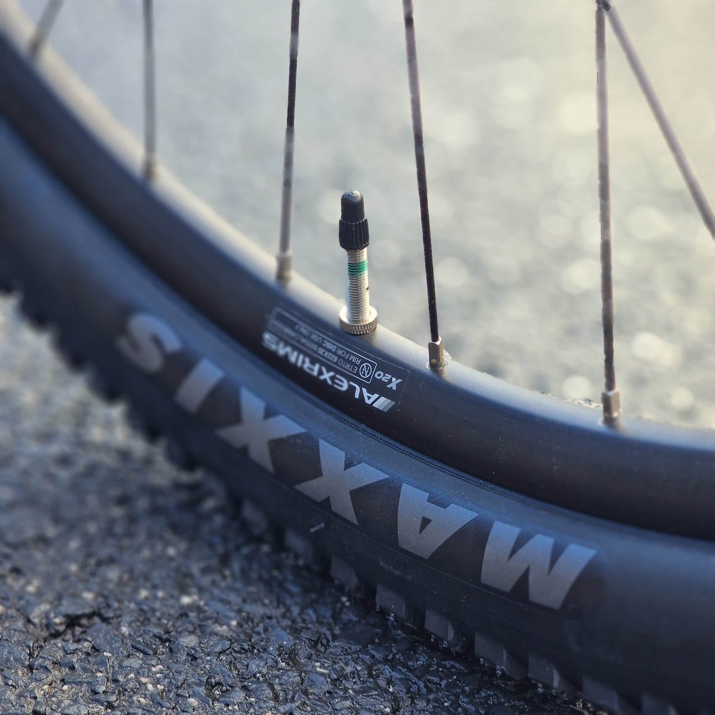 Scott Bikes Scott Contrail 20 29 Inch Mountain Bike Black