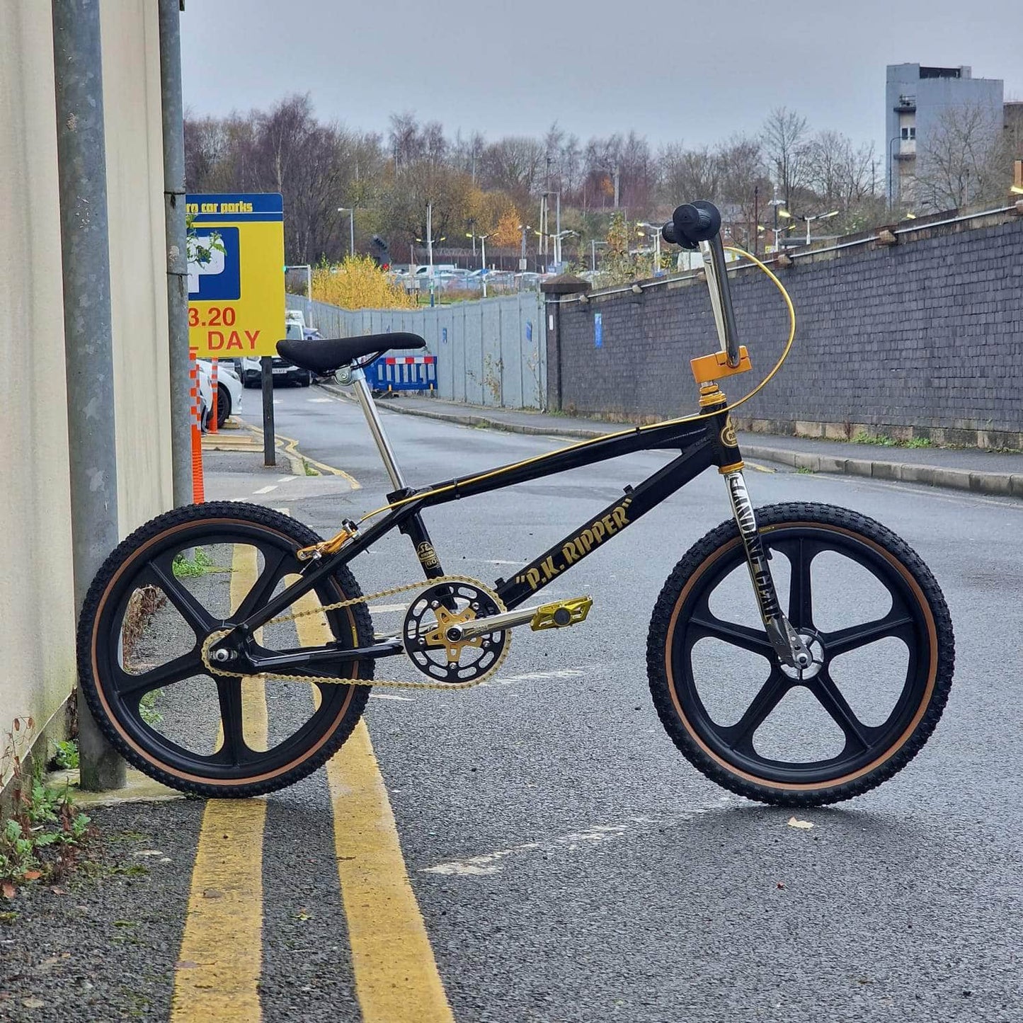 SE Racing Old School BMX Black / Gold SE Racing 1989 PK Ripper Bike Black / Gold