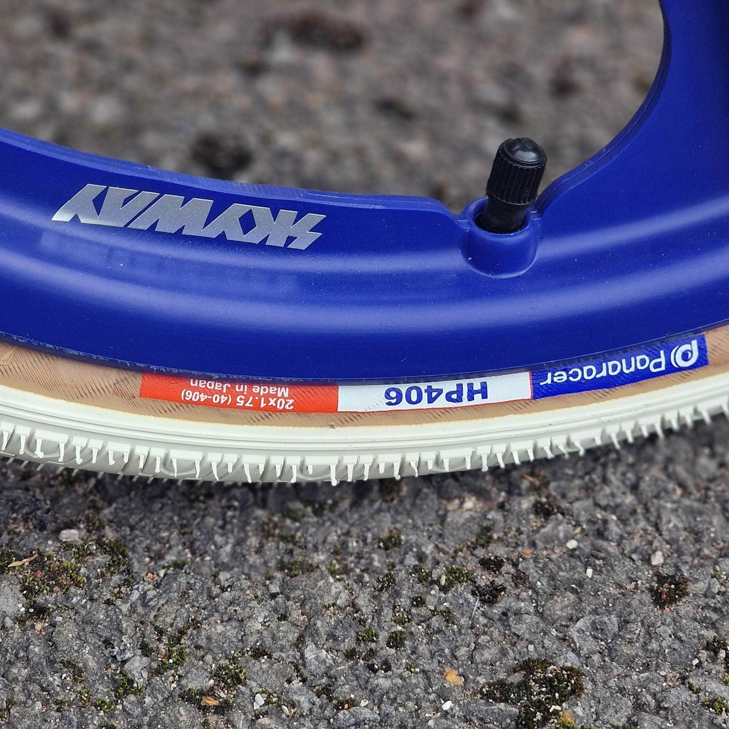 Skyway Old School BMX Bikes White Skyway 2024 Street Beat Bike White / Blue