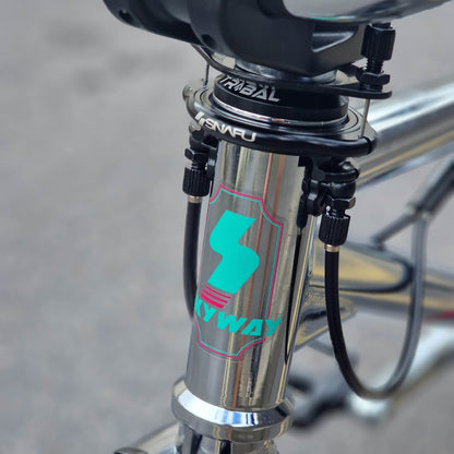 Skyway Old School BMX Bikes Silver Skyway Street Beat Bike Chrome / Black