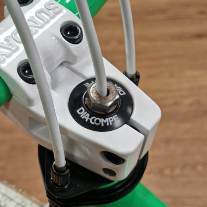 Skyway Old School BMX Bikes Green Skyway Street Beat Bike Green / White