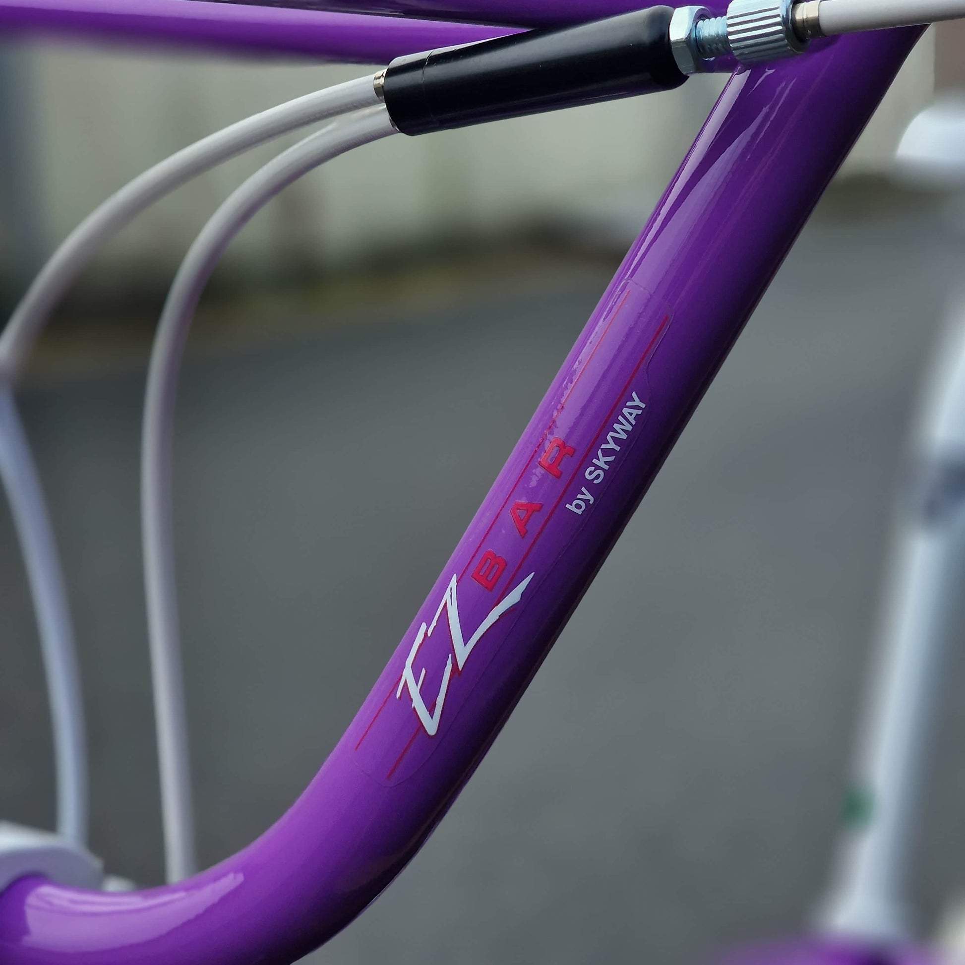 Skyway Old School BMX Bikes Purple Skyway Street Beat Custom Bike Purple / White