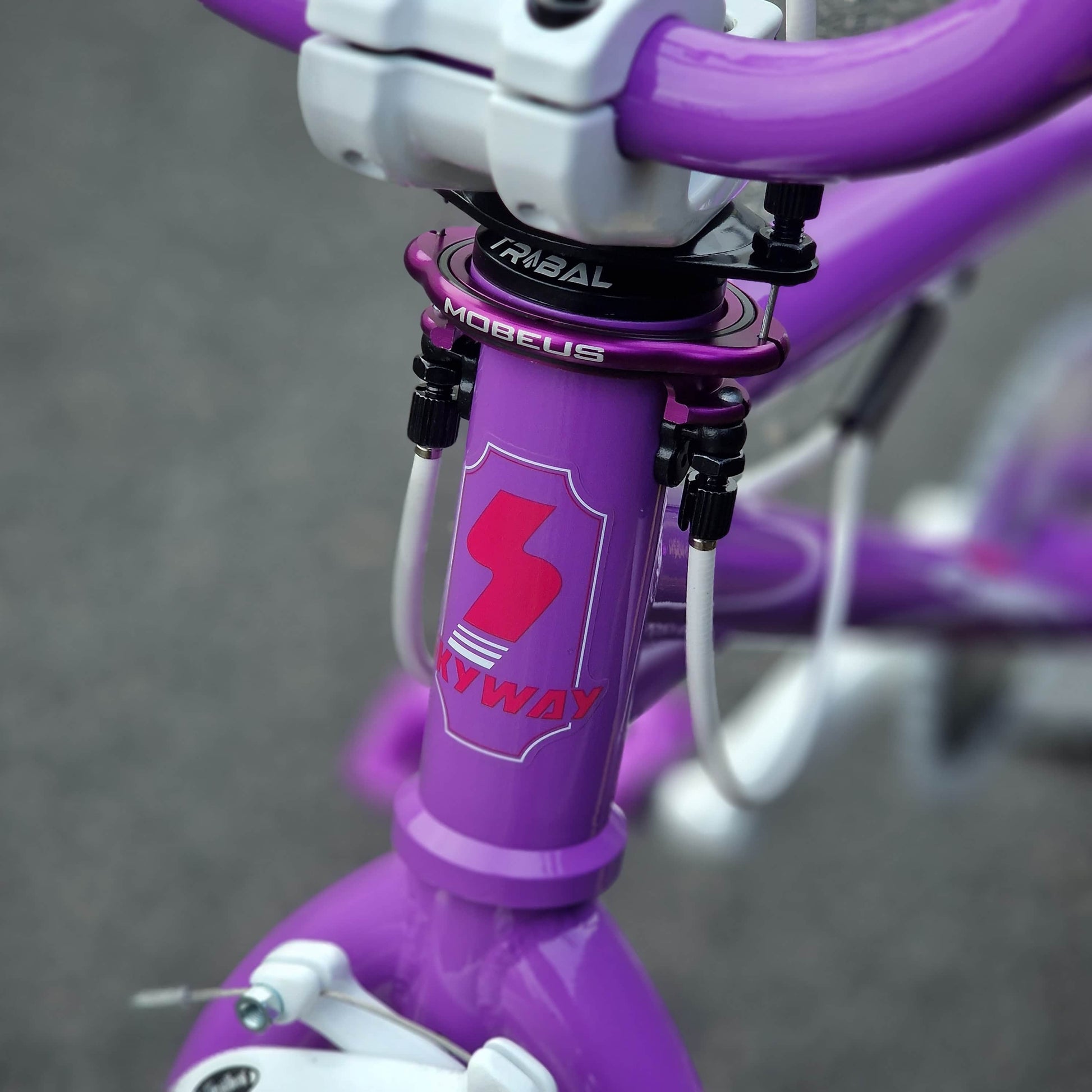 Skyway Old School BMX Bikes Purple Skyway Street Beat Custom Bike Purple / White