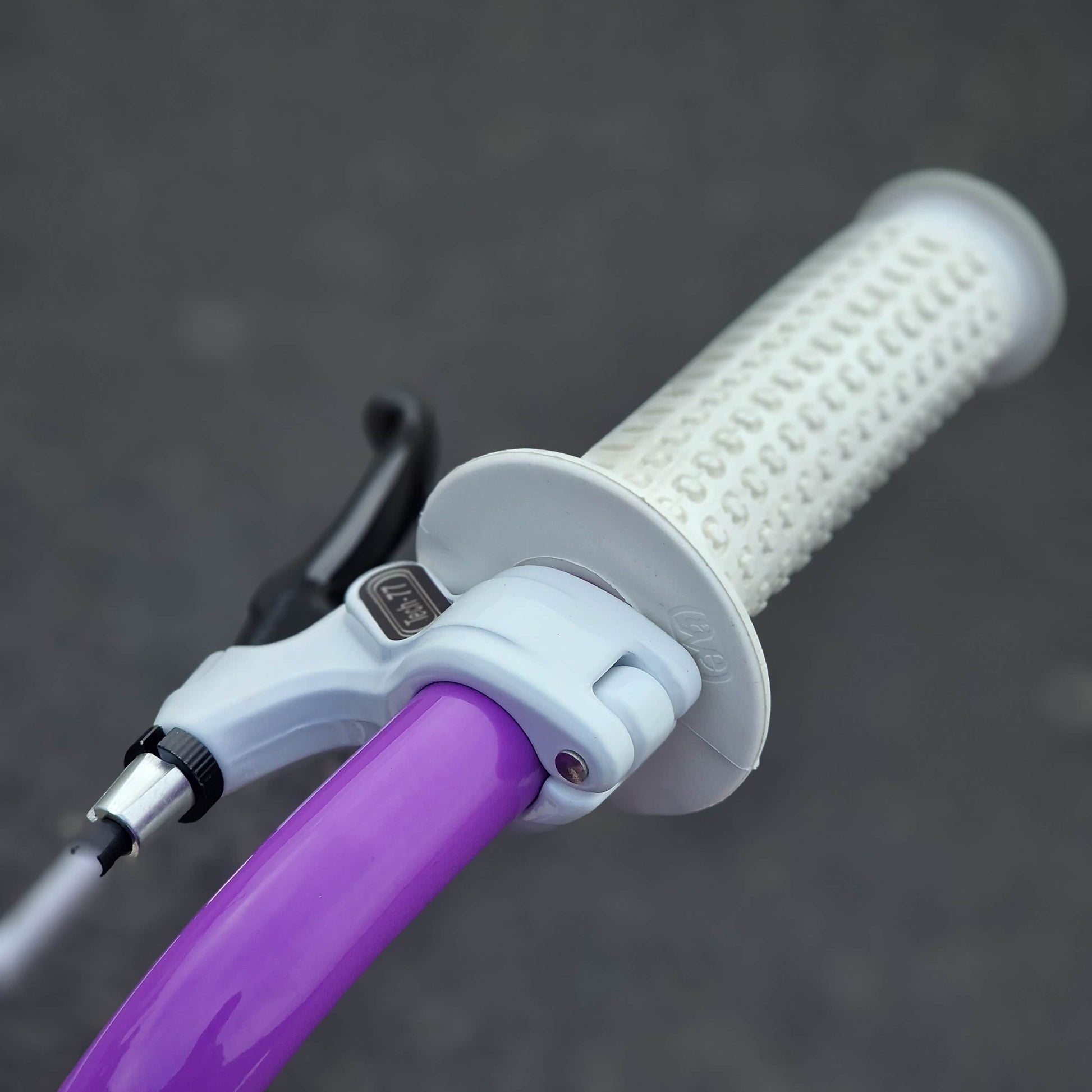 Skyway Old School BMX Bikes Purple Skyway Street Beat Custom Bike Purple / White