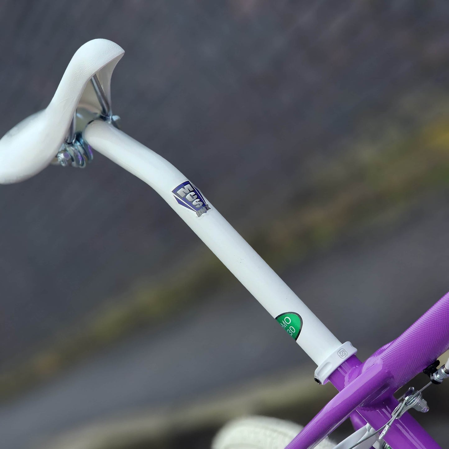 Skyway Old School BMX Bikes Purple Skyway Street Beat Custom Bike Purple / White