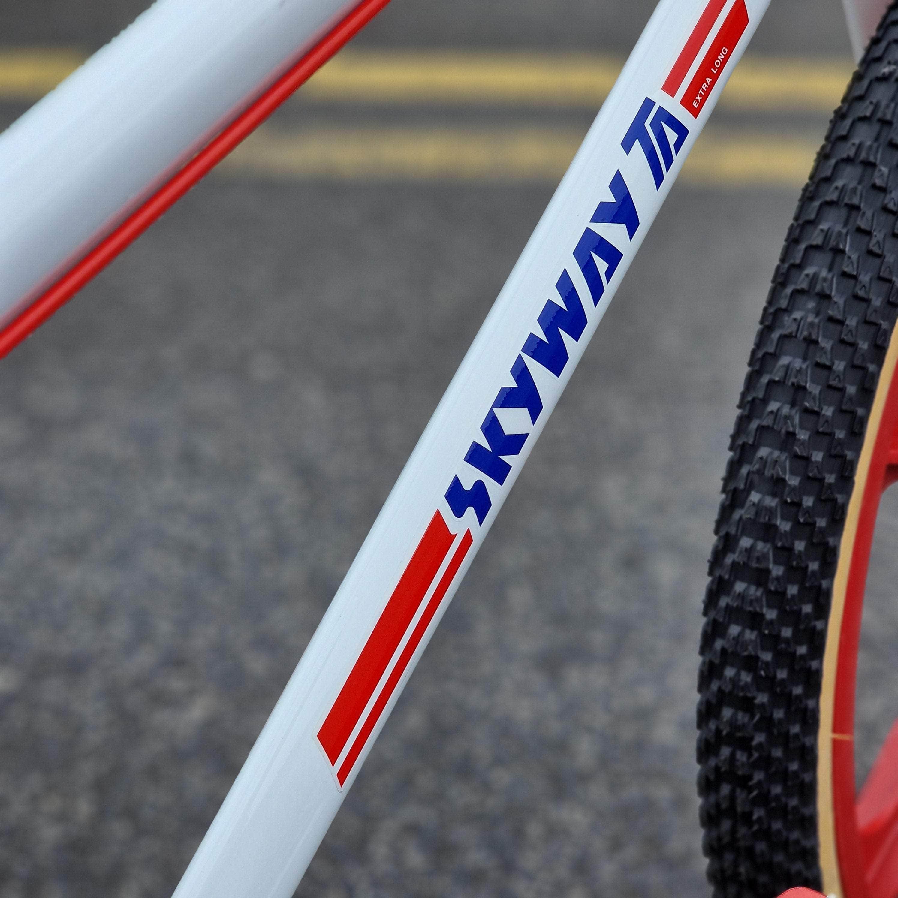 Skyway T/A 24 Inch Custom Old School BMX Bike White / Red | Alans BMX