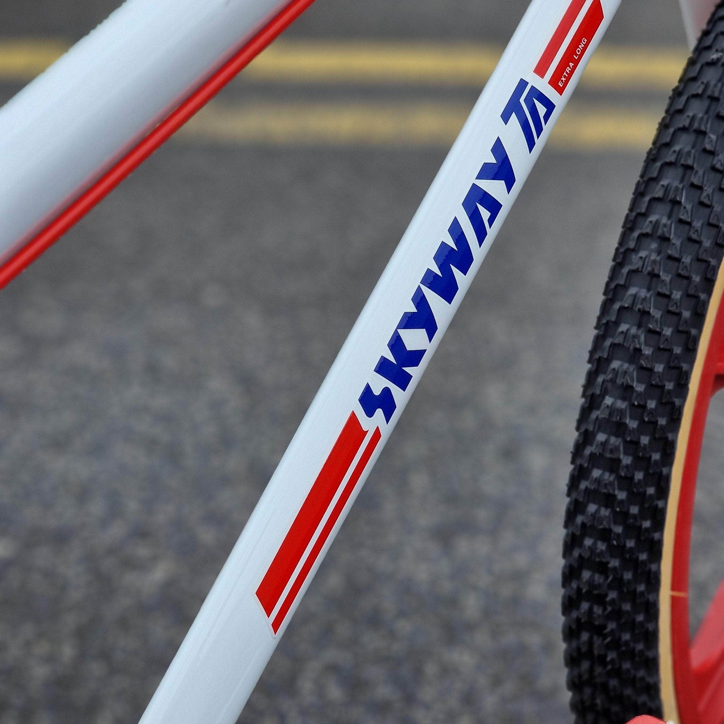 Skyway Old School BMX Bikes White / Red Skyway T/A Custom 24 Inch Bike White / Red