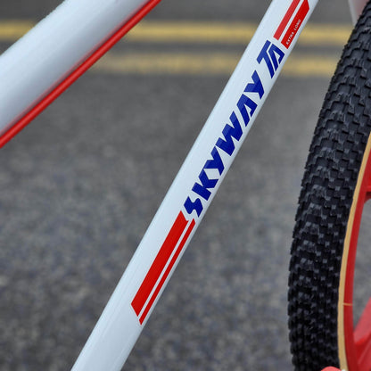 Skyway Old School BMX Bikes White / Red Skyway T/A Custom 24 Inch Bike White / Red