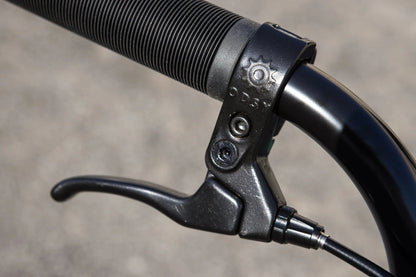 Sunday BMX Bikes Matte Cool Mint / 20.75 Sunday 2025 Scout 20.75" TT Bike Matte Cool Mint