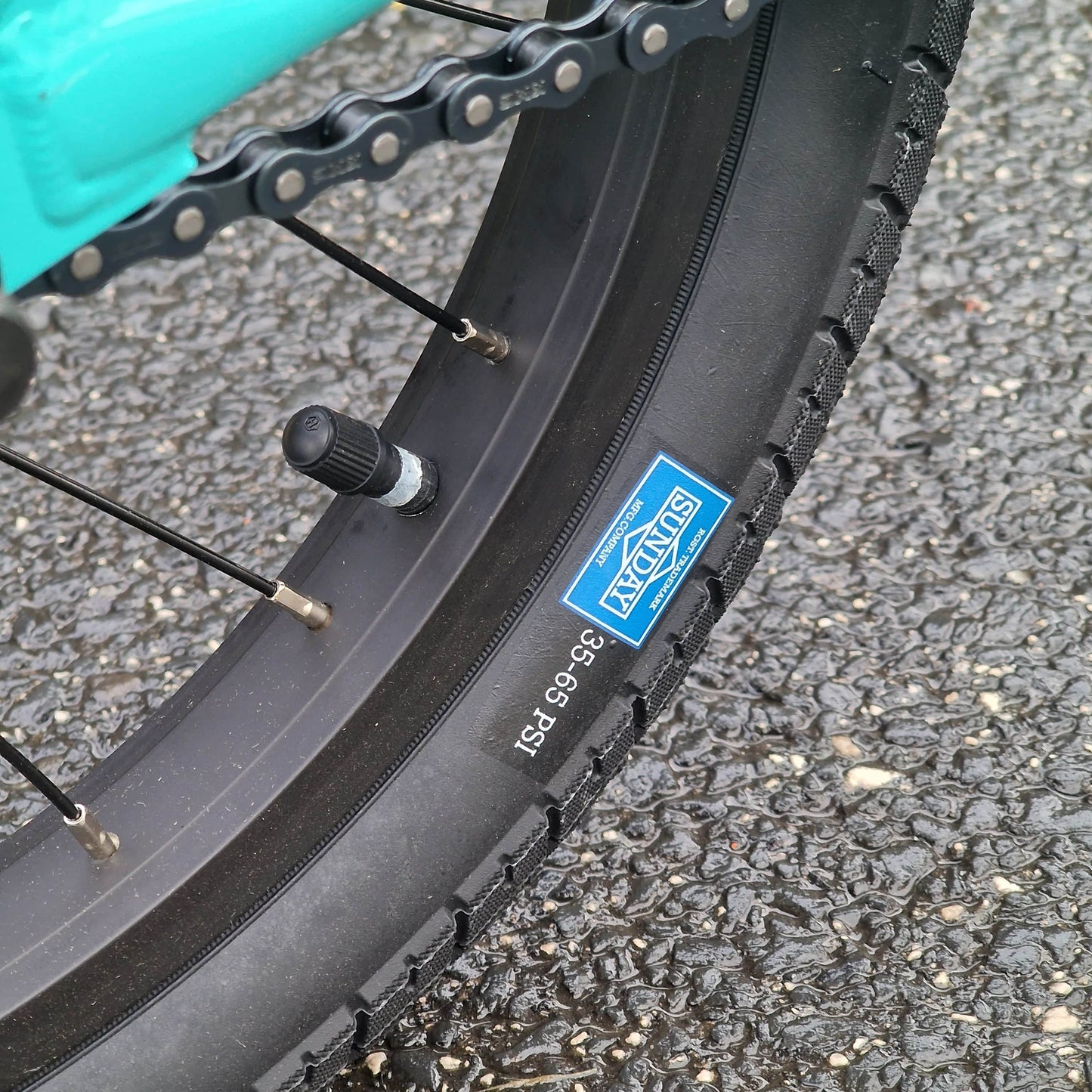 Sunday BMX Bikes Turquoise Sunday Primer 16 Inch Bike Turquoise