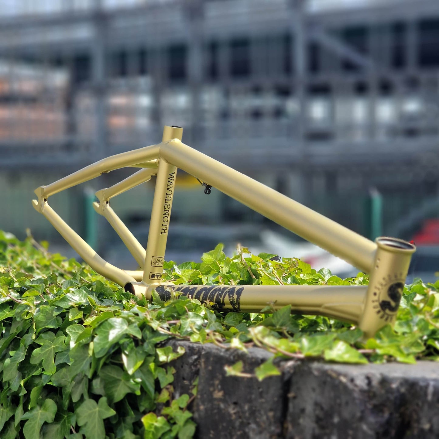 Sunday BMX Parts Sunday Wavelength Frame Matte Metallic Gold