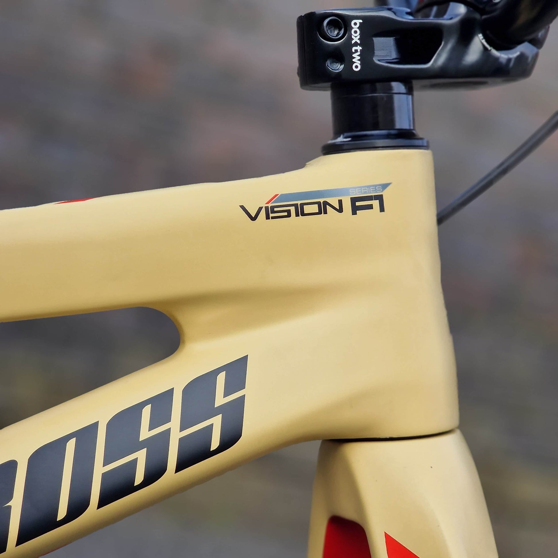 Supercross BMX BMX Racing Bikes Desert Fury / Pro XXL Supercross BMX Vision F1 Custom Race Bike Pro XXL Desert Fury