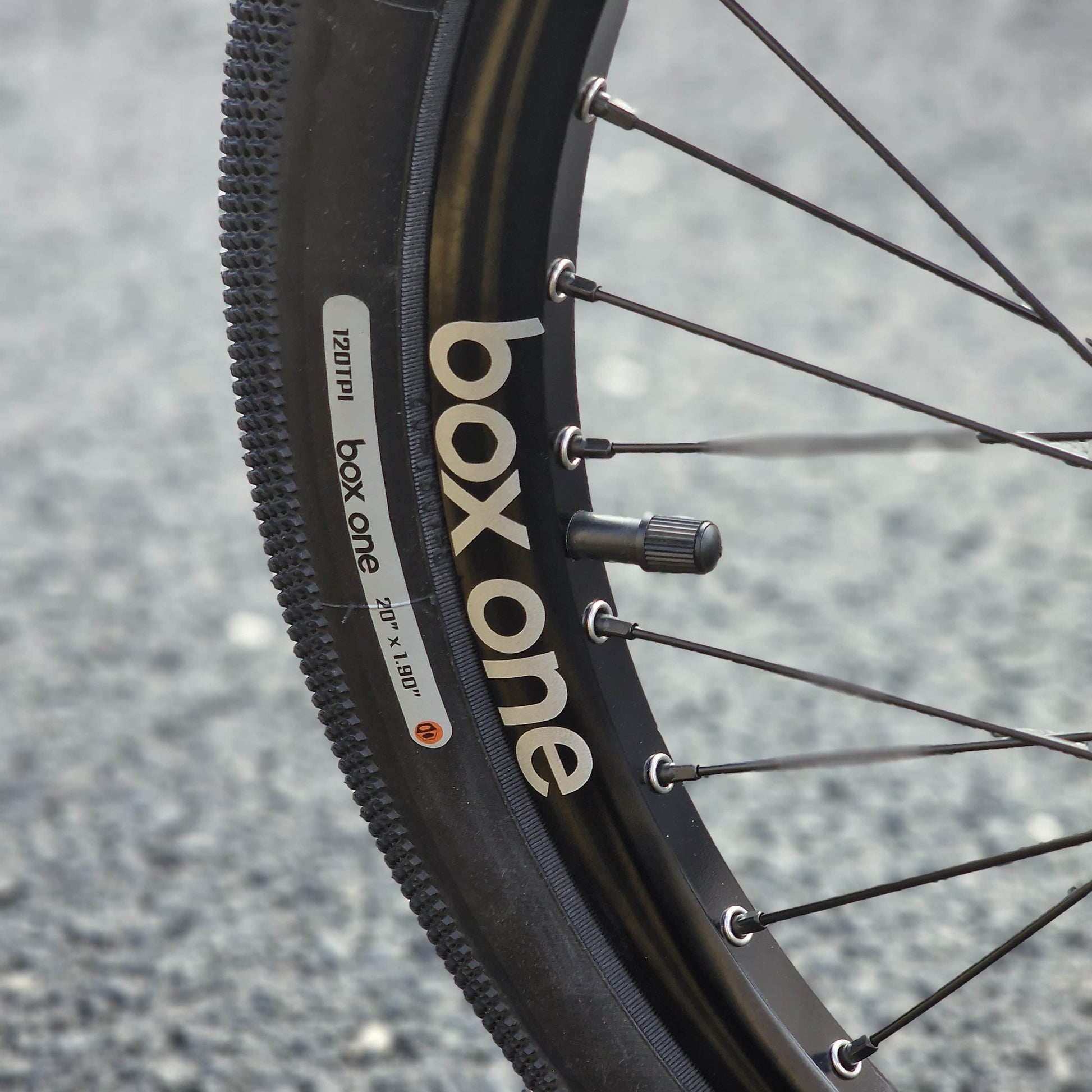 Syndyt BMX Racing Grey / Pro XL Syndyt SYB Pro XL Custom Race Bike Grey