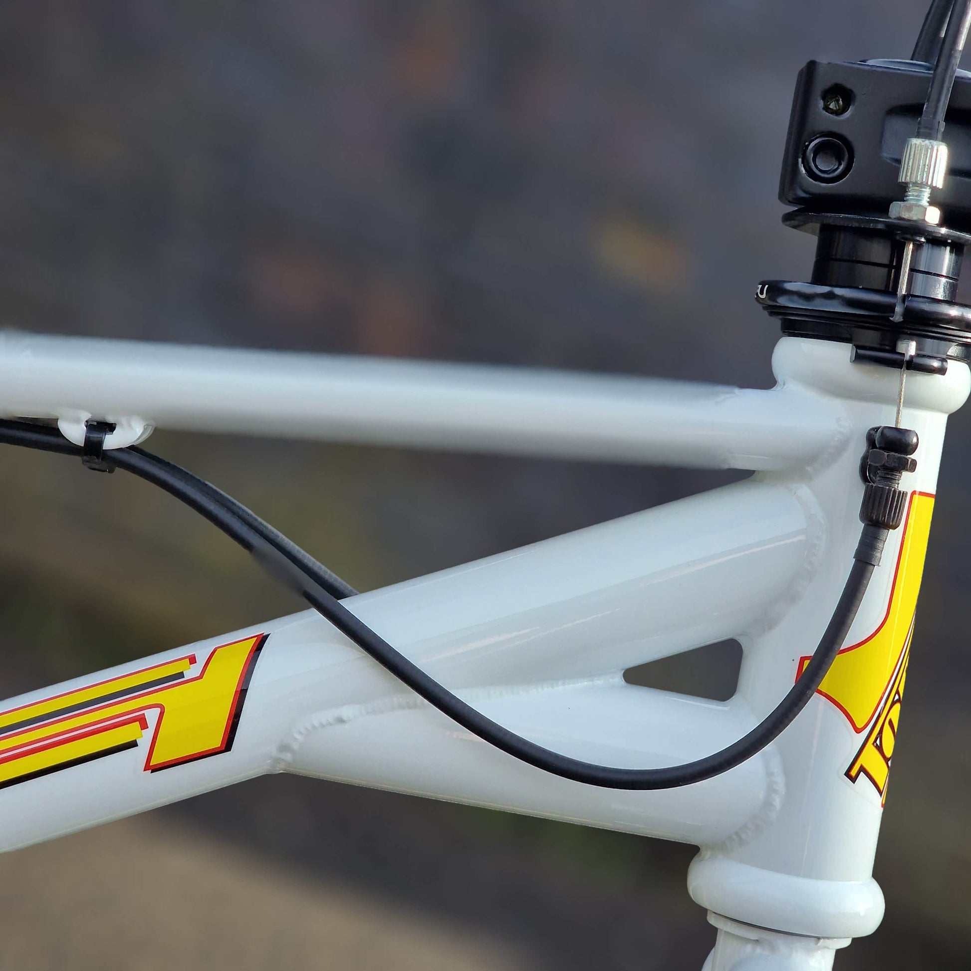 Torker Old School BMX Bikes White Torker Freestylist 2 Custom Bike White