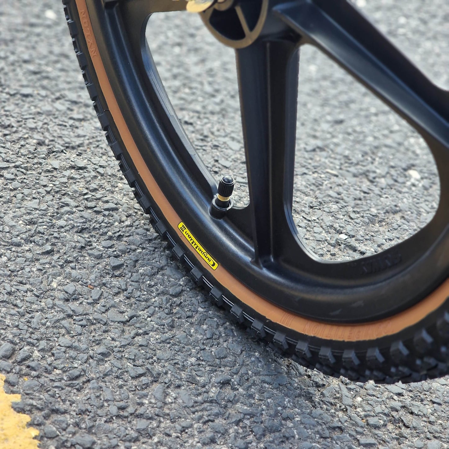 Torker Old School BMX Bikes Chrome / Black / Gold / Pro XL Torker LP Race Pro XL Custom Bike Chrome / Black / Gold