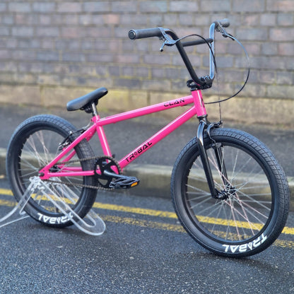 Tribal Bikes BMX Bikes Raspberry / 20.4 Tribal Bikes Clan V2 Bike Raspberry