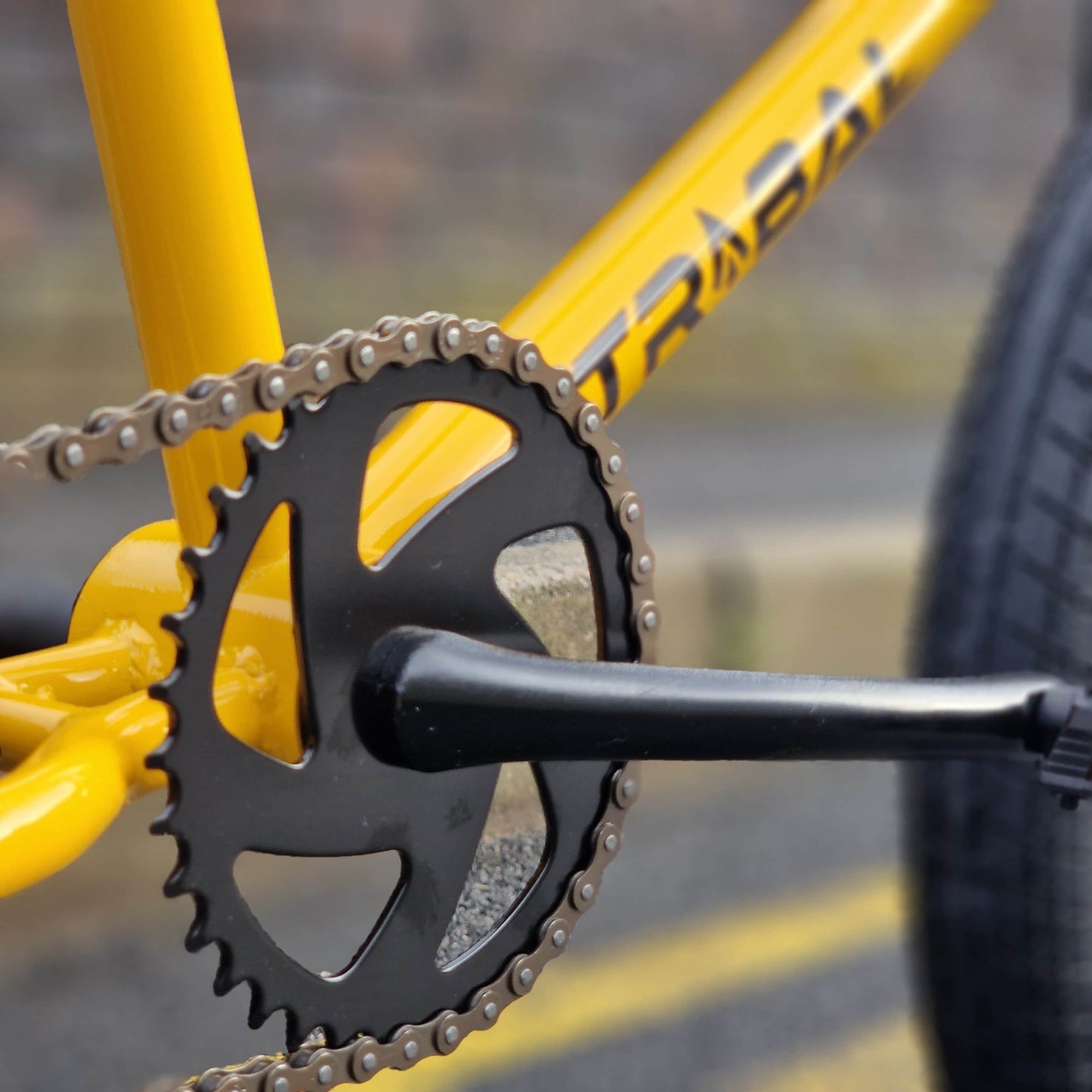 Tribal Bikes BMX Bikes Yellow / 20.4 Tribal Bikes Clan V2 Bike Yellow