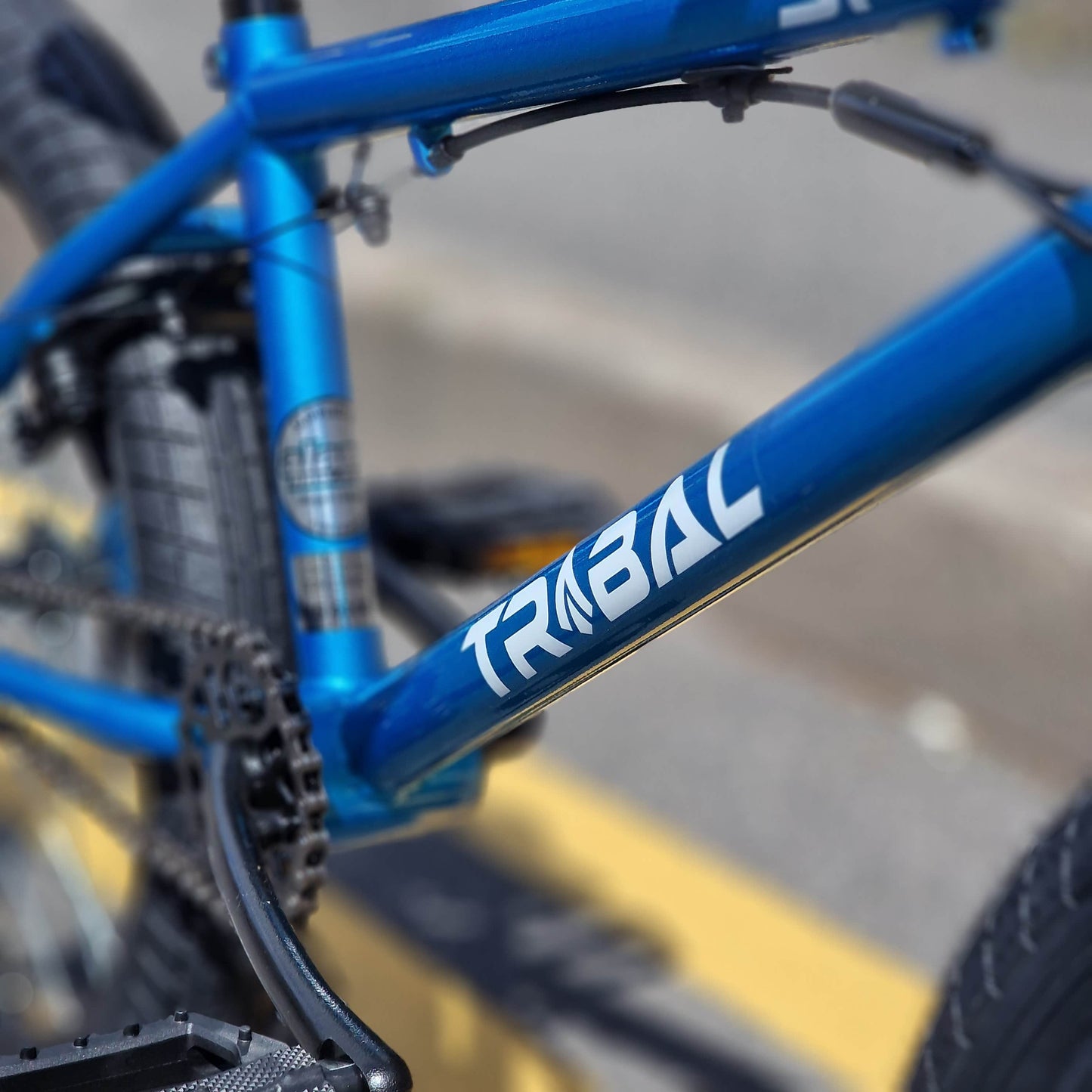 Tribal Bikes BMX Bikes Blue / 20.5 Tribal Bikes Spear F/S 20.5" TT Bike Vivid Blue