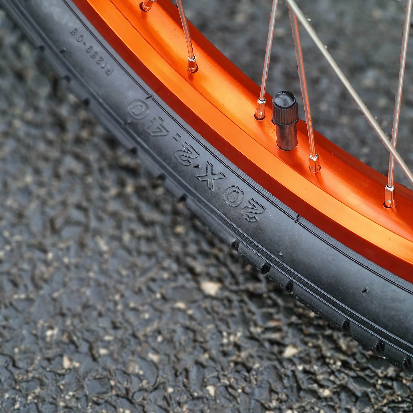 Tribal Bikes BMX Bikes Metallic Blue / 20.5 Tribal Bikes Trap Bike Metallic Blue